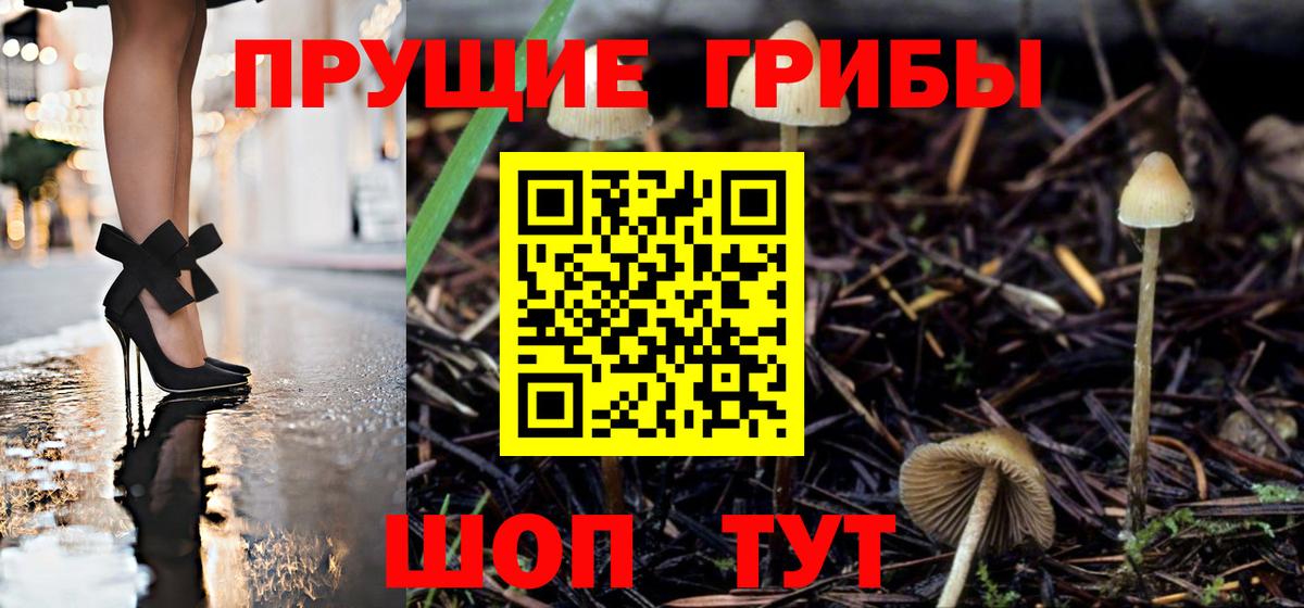 Alpha PVP СК кристаллы  Кокаин  MDMA  Марихуана  ЭКСТАЗИ  Вход с VPN  Кыштым  Мефедрон  